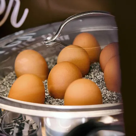 B&B Hotel Trier Hotell Trier