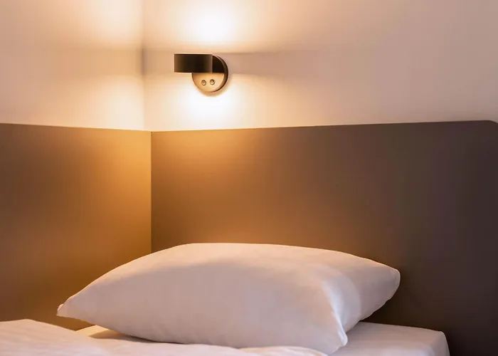 特里尔住宿加早餐酒店 3*